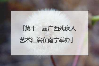 第十一届广西残疾人艺术汇演在南宁举办