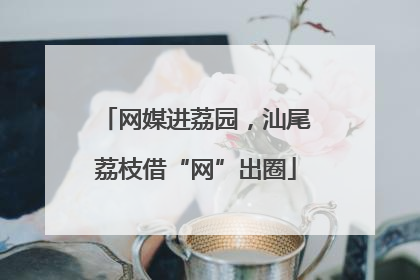 网媒进荔园，汕尾荔枝借“网”出圈
