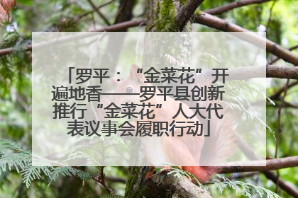 罗平：“金菜花”开遍地香——罗平县创新推行“金菜花”人大代表议事会履职行动