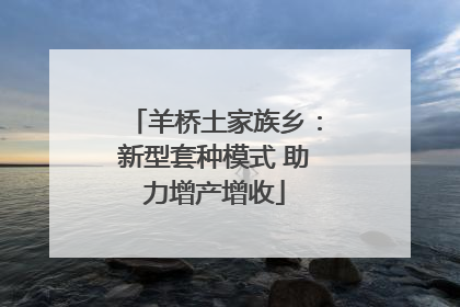 羊桥土家族乡：新型套种模式 助力增产增收