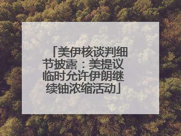 美伊核谈判细节披露：美提议临时允许伊朗继续铀浓缩活动