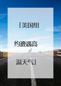 美国纽约遭遇高温天气