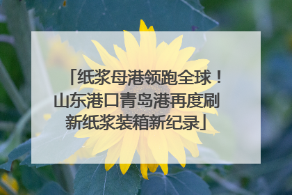 纸浆母港领跑全球！山东港口青岛港再度刷新纸浆装箱新纪录