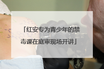 红安专为青少年的禁毒课在庭审现场开讲