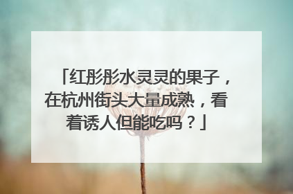红彤彤水灵灵的果子，在杭州街头大量成熟，看着诱人但能吃吗？