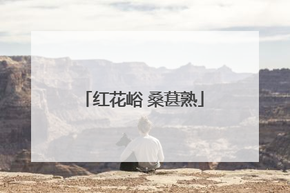 红花峪 桑葚熟