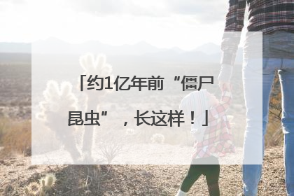 约1亿年前“僵尸昆虫”，长这样！