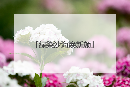 绿染沙海焕新颜