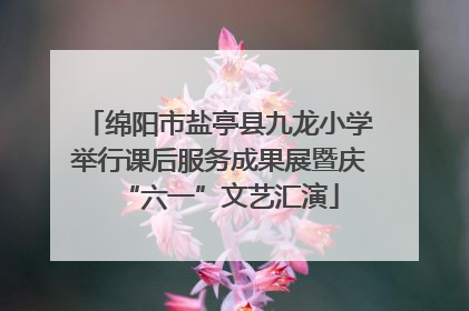 绵阳市盐亭县九龙小学举行课后服务成果展暨庆“六一”文艺汇演
