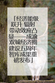 经济能级跃升 辐射带动效应凸显——成渝双城经济圈建设五周年智库成果重磅发布