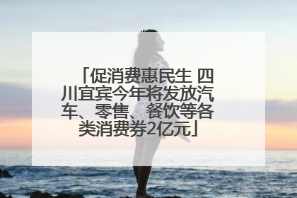 促消费惠民生 四川宜宾今年将发放汽车、零售、餐饮等各类消费券2亿元