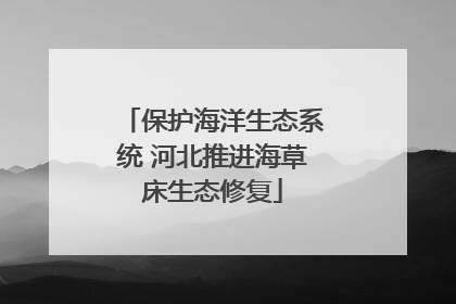 保护海洋生态系统 河北推进海草床生态修复