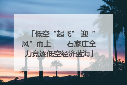 低空“起飞” 迎“风”而上——石家庄全力竞逐低空经济蓝海