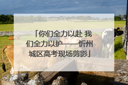 你们全力以赴 我们全力以护——忻州城区高考现场剪影