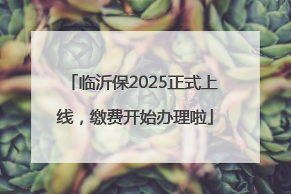 临沂保2025正式上线，缴费开始办理啦