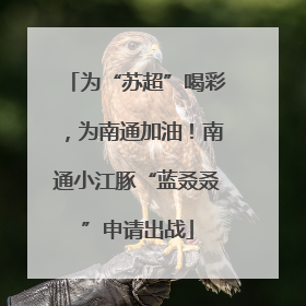 为“苏超”喝彩，为南通加油！南通小江豚“蓝叒叒”申请出战