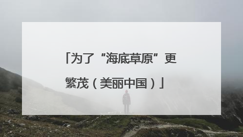 为了“海底草原”更繁茂（美丽中国）