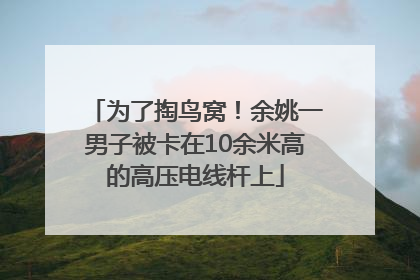 为了掏鸟窝！余姚一男子被卡在10余米高的高压电线杆上