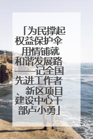 为民撑起权益保护伞 用情铺就和谐发展路——记全国先进工作者、新区项目建设中心干部卢小勇