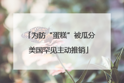 为防“蛋糕”被瓜分 美国罕见主动推销