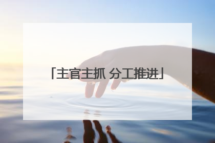 主官主抓 分工推进
