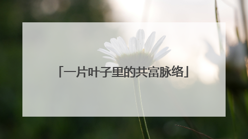一片叶子里的共富脉络