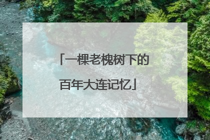 一棵老槐树下的百年大连记忆