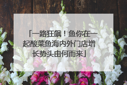 一路狂飙！鱼你在一起酸菜鱼海内外门店增长势头由何而来