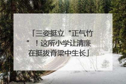 三姿挺立“正气竹”！这所小学让清廉在挺拔脊梁中生长