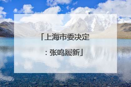 上海市委决定：张鸣履新
