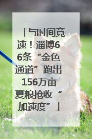 与时间竞速！淄博66条“金色通道”跑出156万亩夏粮抢收“加速度”