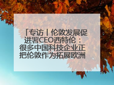专访丨伦敦发展促进署CEO西特伦：很多中国科技企业正把伦敦作为拓展欧洲市场的门户