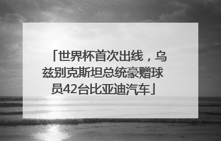世界杯首次出线，乌兹别克斯坦总统豪赠球员42台比亚迪汽车