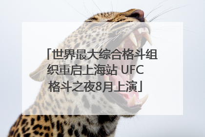 世界最大综合格斗组织重启上海站 UFC格斗之夜8月上演