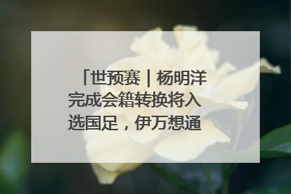 世预赛｜杨明洋完成会籍转换将入选国足，伊万想通了要打双后腰？