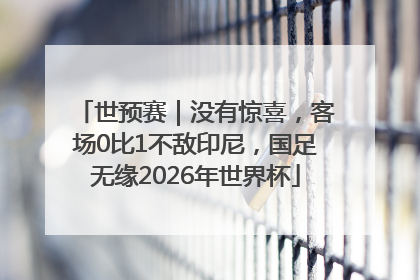 世预赛｜没有惊喜，客场0比1不敌印尼，国足无缘2026年世界杯