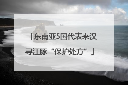 东南亚5国代表来汉寻江豚“保护处方”