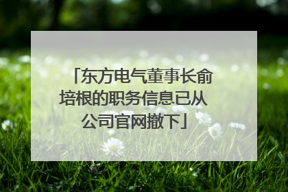 东方电气董事长俞培根的职务信息已从公司官网撤下