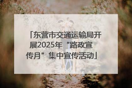 东营市交通运输局开展2025年“路政宣传月”集中宣传活动