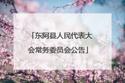 东阿县人民代表大会常务委员会公告