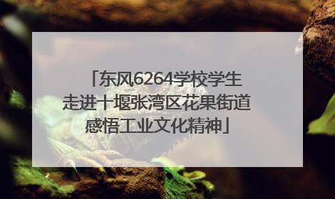 东风6264学校学生走进十堰张湾区花果街道感悟工业文化精神