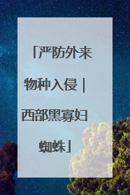 严防外来物种入侵｜西部黑寡妇蜘蛛