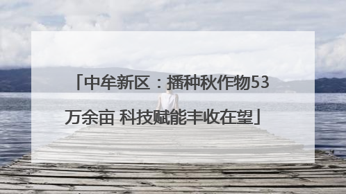 中牟新区：播种秋作物53万余亩 科技赋能丰收在望