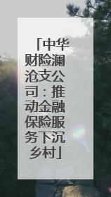 中华财险澜沧支公司：推动金融保险服务下沉乡村