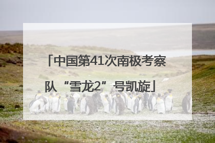 中国第41次南极考察队“雪龙2”号凯旋