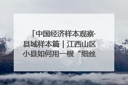 中国经济样本观察·县域样本篇｜江西山区小县如何用一根“细丝”拉出百亿级产业？