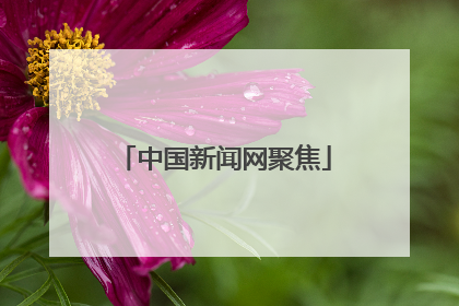 中国新闻网聚焦