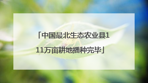 中国最北生态农业县111万亩耕地播种完毕