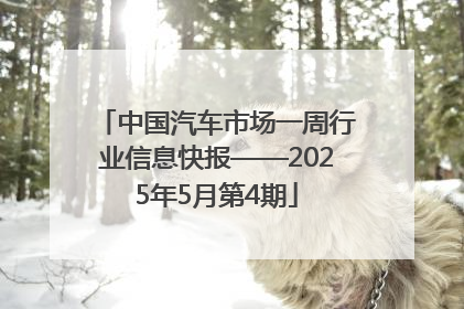 中国汽车市场一周行业信息快报——2025年5月第4期