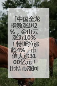 中国金龙指数涨超2%，金山云涨近10%！特斯拉涨超4%，市值大涨3100亿元！比特币涨回11万美元关口